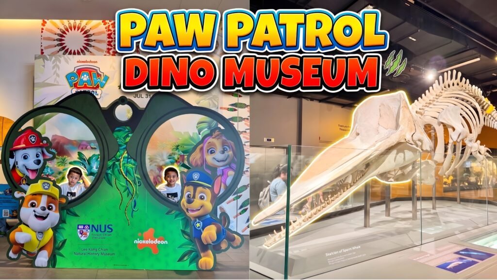 0003 lee kong chian natural history musuem paw patrol