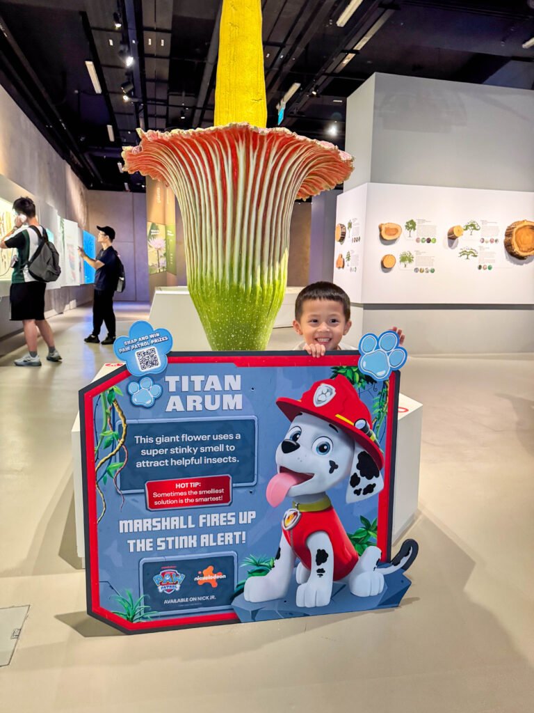 Lee Kong Chian Natural History Museum: PAW Patrol Dino Adventure for Little Explorers img 3019