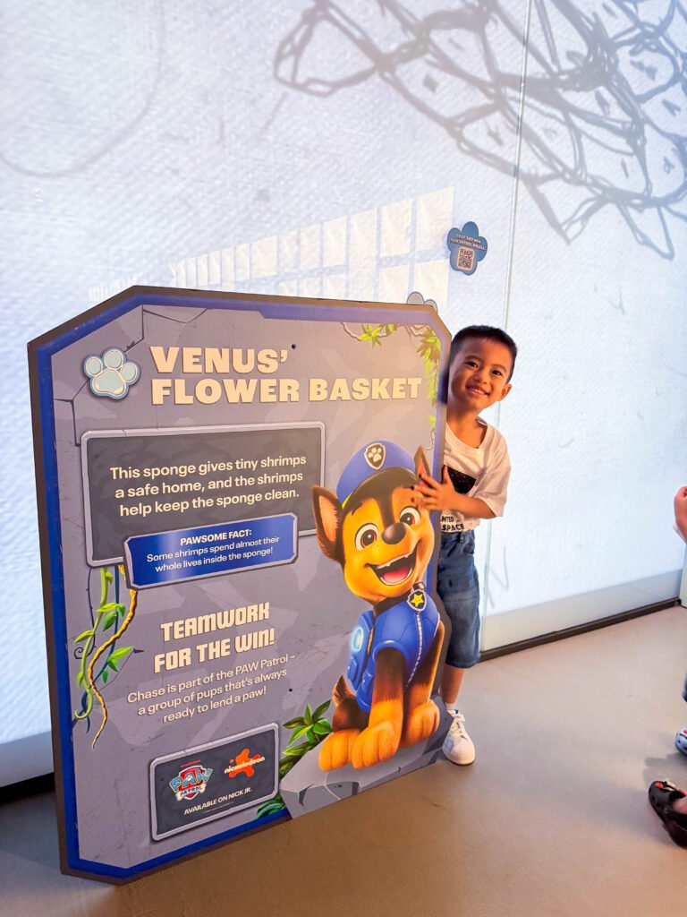 Lee Kong Chian Natural History Museum: PAW Patrol Dino Adventure for Little Explorers img 3030
