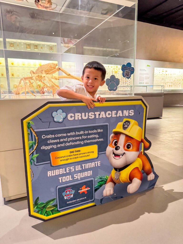 Lee Kong Chian Natural History Museum: PAW Patrol Dino Adventure for Little Explorers img 3060