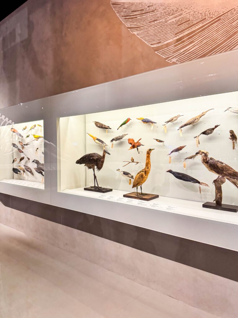 Lee Kong Chian Natural History Museum: PAW Patrol Dino Adventure for Little Explorers img 3099