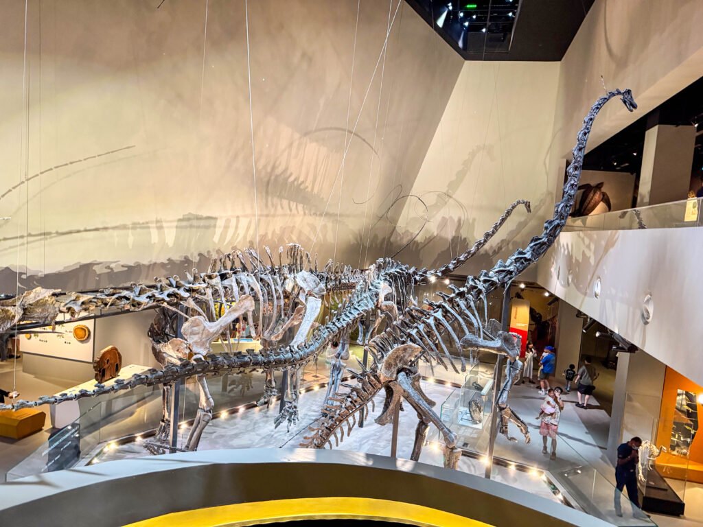 Lee Kong Chian Natural History Museum: PAW Patrol Dino Adventure for Little Explorers img 3177