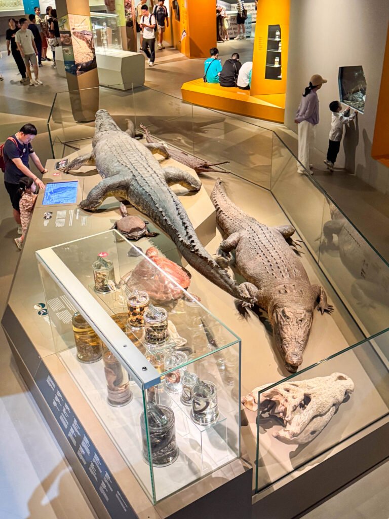 Lee Kong Chian Natural History Museum: PAW Patrol Dino Adventure for Little Explorers img 3183