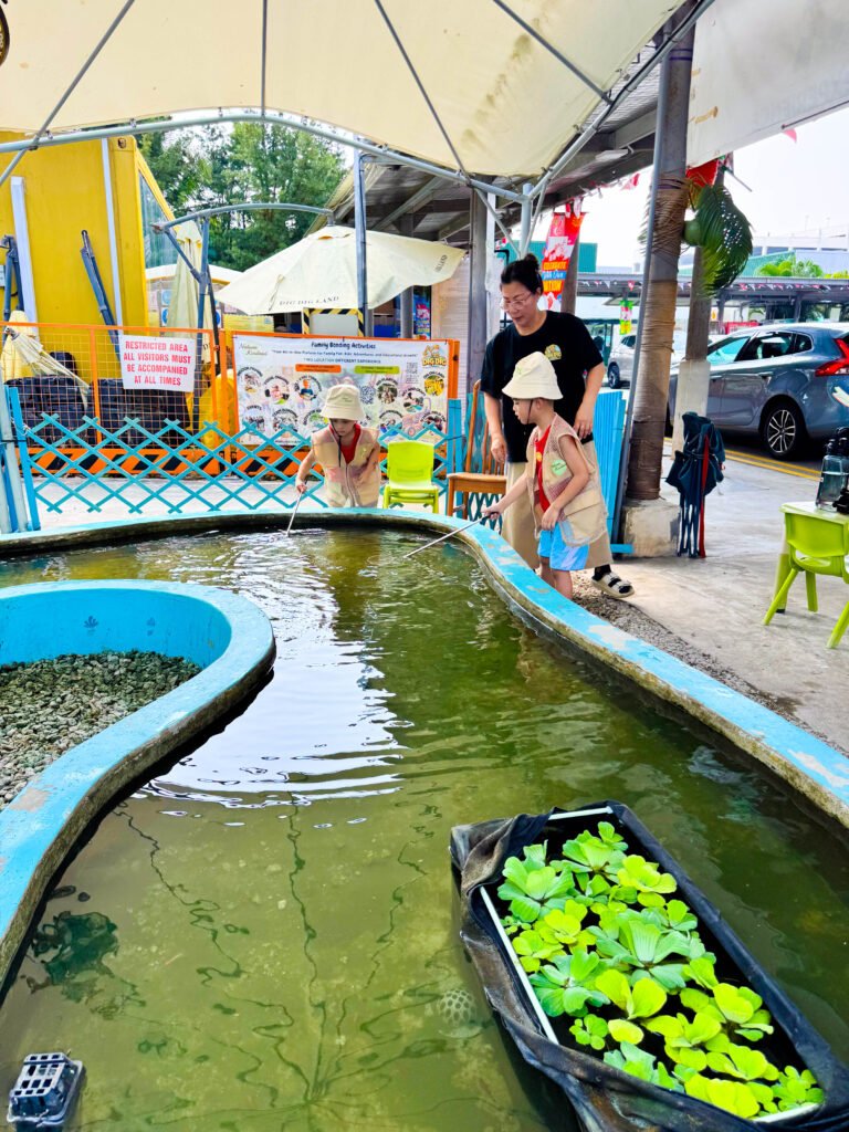 Fishing Experience at Jurong Play Grounds: Kid-Friendly Fish Catching & DIY Fish Tank Fun img 3888