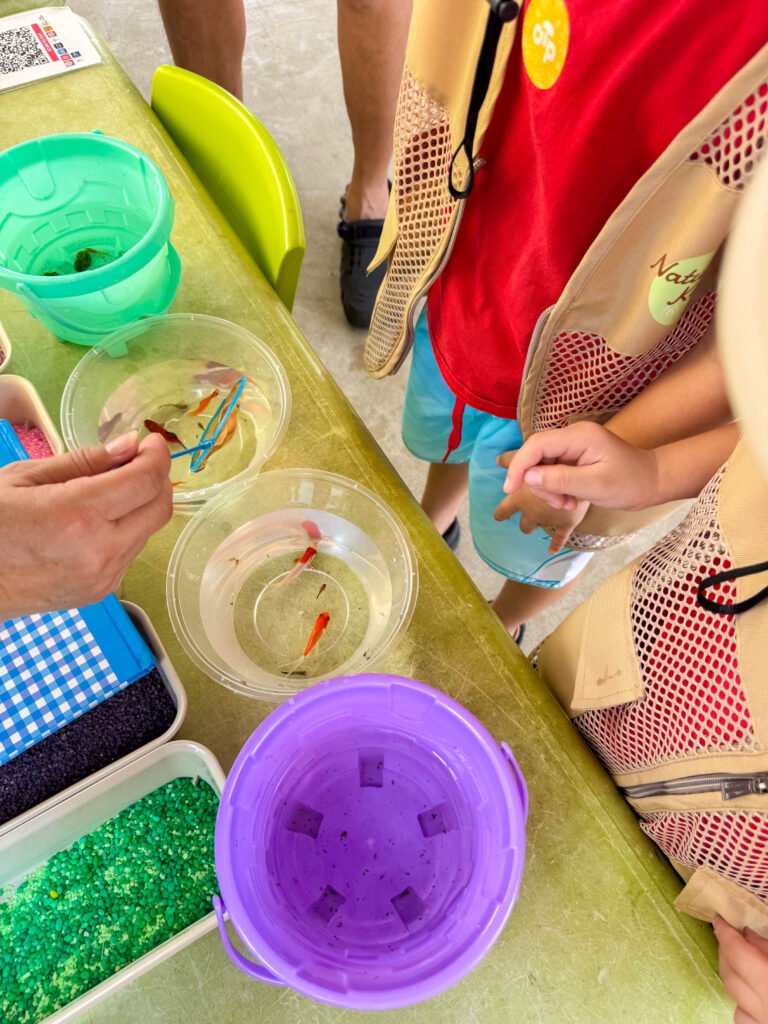 Fishing Experience at Jurong Play Grounds: Kid-Friendly Fish Catching & DIY Fish Tank Fun img 3947