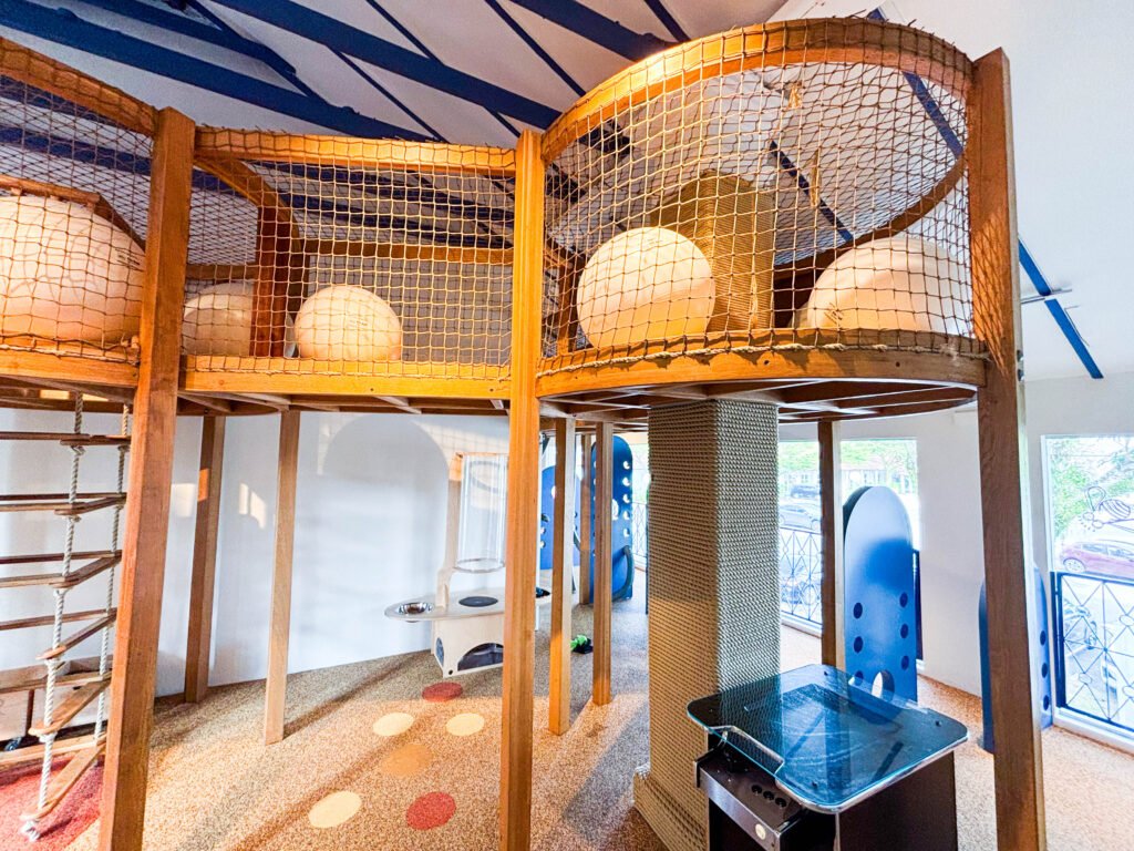 Kids Space at Dempsey: All-in-One Play Haven for Kids, Literally img 9267