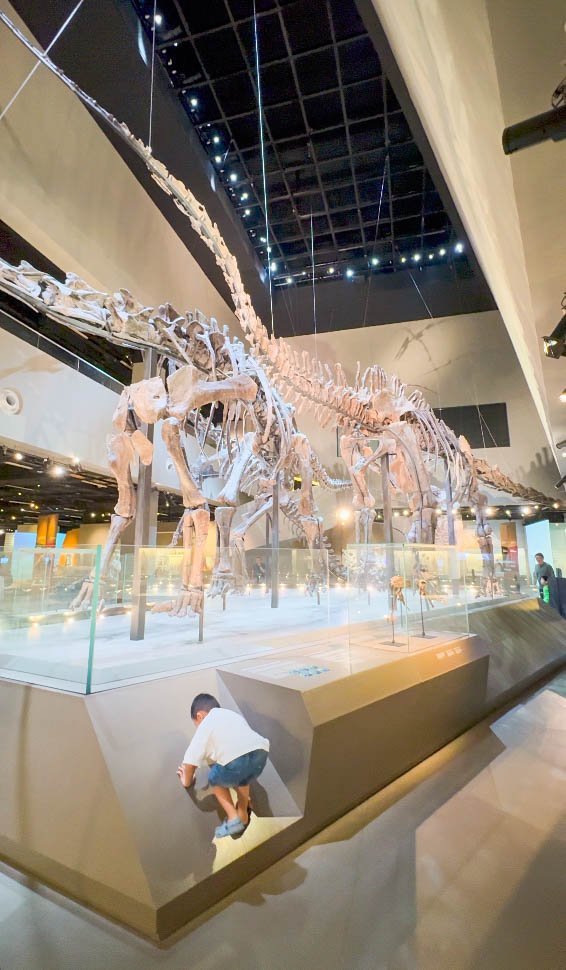 Lee Kong Chian Natural History Museum: PAW Patrol Dino Adventure for Little Explorers iscreen shoter finder 260817232119
